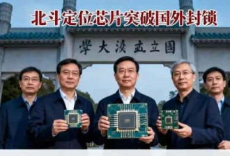武汉大学研究团队获重大突破