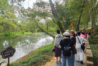 “铁腚”大巴游老年团全纪录：我出门就像打鸡血