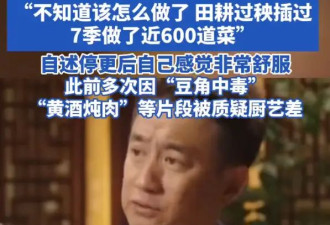 黄磊回应曾主动暂停《向往的生活》：田种过，秧插过，不知道该怎么做了