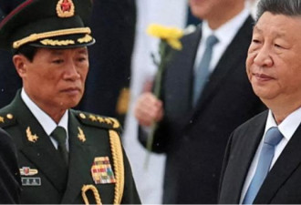 “党啊党 你为什么成了腐败的温床？”