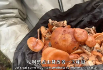 消失了十几年的“野人”，正被这景区批量制造