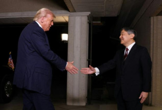 川普访日会见日皇德仁 东京铁塔等亮灯欢迎