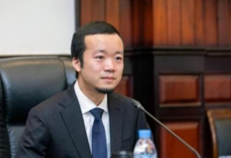 网文：太子集团陈志是谁的人？越挖越后背发凉