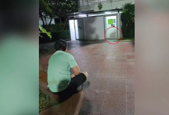 关门也没用！男女公厕“活春宫” 半透明玻璃被路人全看光