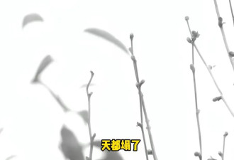 “天塌了，我一生都毁了”， 男子称养了20年才发现儿子非亲生！前妻坚决否认