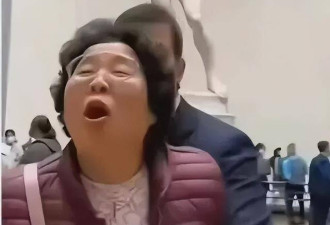 炸锅！中国大妈意大利怒吼大卫雕像：耍流氓