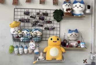 ​十万云股东“投喂”东北乌托邦
