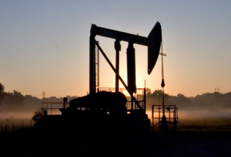 OPEC“一动作” 瞬间压垮油价