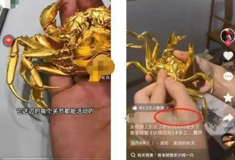 山姆门店卖50万元/只的“黄金大闸蟹”被指抄袭