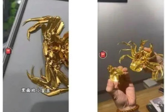 山姆门店卖50万元/只的“黄金大闸蟹”被指抄袭