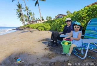 夏威夷浮潜记：与海龟共游 伴日落举杯