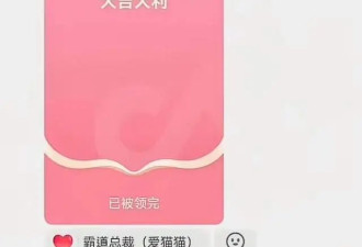 曝杜星霖“雇佣”水军投诉律师，聊天记录被曝...