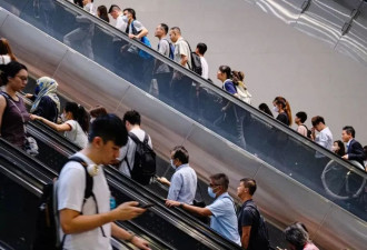 一半香港高才放弃续签，求职困难，教育政策收紧