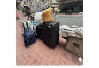 一半香港高才放弃续签，求职困难，教育政策收紧