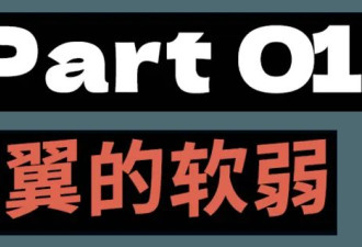 《一战再战》：脚踢白左，拳打红脖