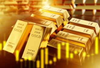 金价断崖式崩跌后人人抢抄底 专家坦白说了