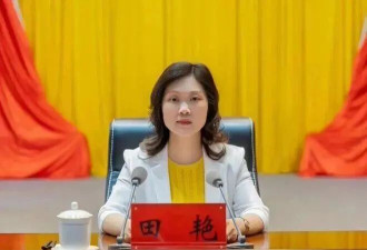 厅官田艳被逮捕，曾为自己营造声势捞取政治资本