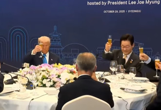 卡尼与特朗普韩国峰会尴尬同桌！笑着寒暄、私下火药味浓！