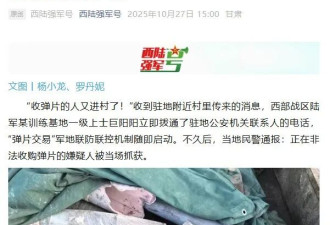 解放军报警 有人拾3吨炮弹残片卖钱 甚至完整弹头