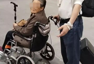 男子推94岁母亲坐轮椅乘动车 称遇到郑智化式难题