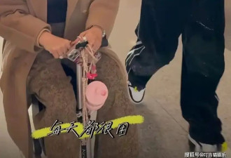 55岁钟丽缇胖到认不出 骑行李箱显壮180斤 张伦硕全程黑脸