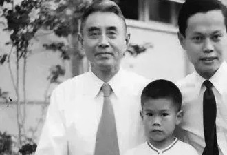 长相似明星，杨振宁之父——杨武之的传奇人生