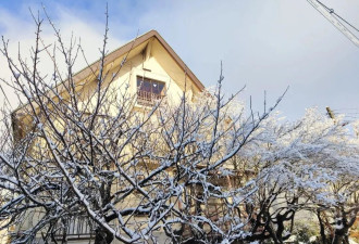 在日本“捡漏”买房的年轻人：3万买170m²独栋