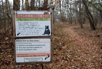 日本遭遇“熊灾”！已致10人死亡，创历史新高