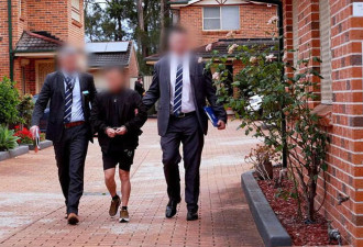 澳洲警方捣毁华人诈骗团伙,涉案金额高达$6000万