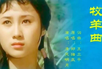 原来她已不是中国籍,被老外骗得一无所有后,重登舞台让人泪目