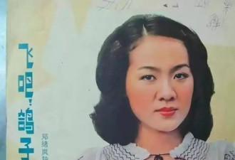 原来她已不是中国籍,被老外骗得一无所有后,重登舞台让人泪目