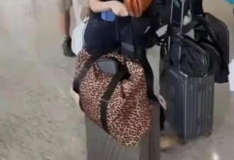 张柏芝机场扛包照刷屏，打了多少“巨婴”明星的脸？