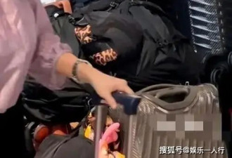 张柏芝机场扛包照刷屏，打了多少“巨婴”明星的脸？
