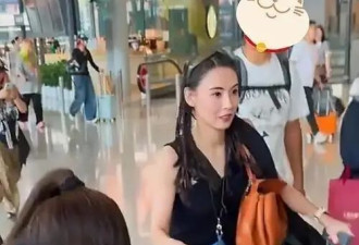 张柏芝机场扛包照刷屏，打了多少“巨婴”明星的脸？