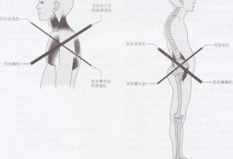 改善体态！一个比散步还简单的动作