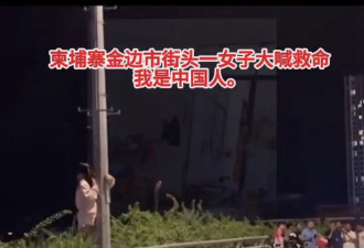 那一声“我是中国人”，比哭还让人心酸