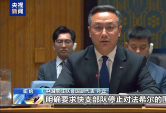 安理会审议苏丹局势,中方：停火止战止暴当务之急