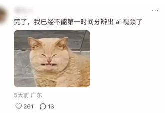刷到一个又一个假视频后，我不敢相信互联网了