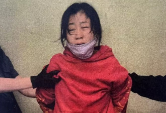 华人女子因与网友论坛对骂发展到法庭动刀被判12年，上诉被驳回