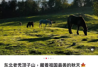 大裤裆沟、擦屁股岭…为什么东北地名这么直白？