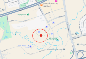 血淋淋的613条生命! 万锦Warden这栋大楼成"候鸟坟场"! 政府介入