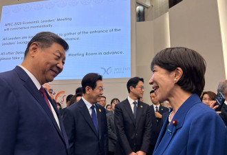 首次“习苗会”30分钟会晤：中日能否持续破冰？