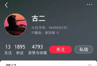 倪妮方发声明回应王家卫录音内容，否认有"后台"