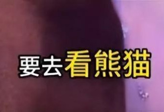 马筱梅罕谈大S过去，回应孩子回北京上学