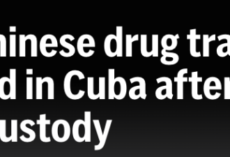 华男毒枭挖地洞越狱终落网！竟是北大高材生