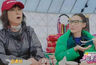 考古|何赛飞录节目把刘嘉玲刘晓庆等嘉宾得罪完，她是情商低还是真性情？