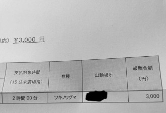 跟熊拼命，日本猎人“血汗低薪”引爆全网