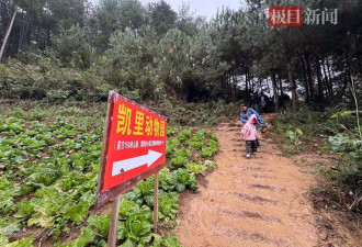 史上最寒酸的凯里动物园突然走红,园长暖心又忐忑