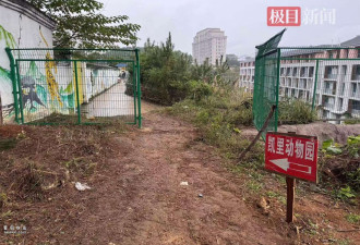 史上最寒酸的凯里动物园突然走红,园长暖心又忐忑