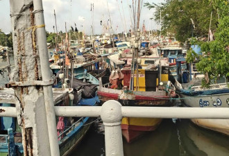 斯里兰卡！~我会反复爱上这趟旅行的瞬间